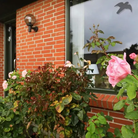 Ferienhaus 4 Person In Aeroskobing-by Traum *